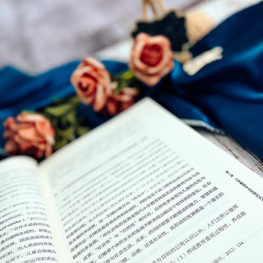 师爱的向度 小学教师伦理研究 大夏书系 师道文丛 师德研究 商品图6