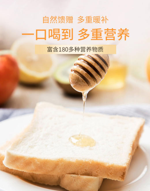 【汪氏】土黄连蜂蜜465g 商品图6