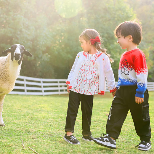 棉果果商场同款春季新品男童拼色三色圆领套头棉线衣时尚复古毛衣纯棉舒适M112160223004 商品图0