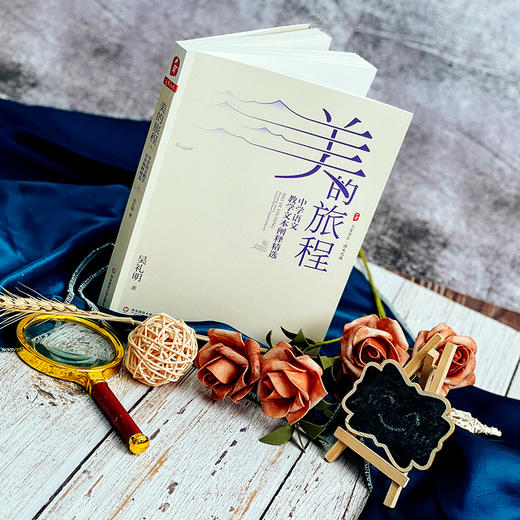 美的旅程 中学语文教学文本阐释精选 大夏书系 语文之道 吴礼明著 商品图1