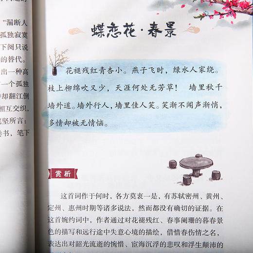 少年读苏东坡（全4册）（“诗+词+文+传”一步到位，一套更适合孩子阅读的苏东坡读本，经典篇目详细解读，诗词赏析，文章注释、译文、解读，帮助孩子轻松跨越古文障碍) 商品图5