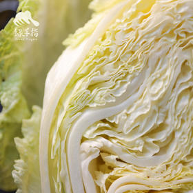 生态河南大白菜 | 合作生产 *Eco- Chinese cabbage | Coproduction