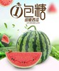 【4斤】麒麟西瓜1包糖 半颗4斤 (超重部分店内补差价)【2日内提货】 商品缩略图0