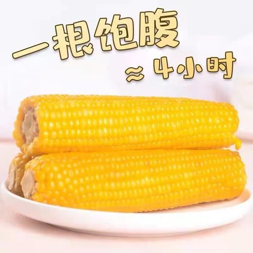 HEB东北粘玉米10棒/箱 商品图8