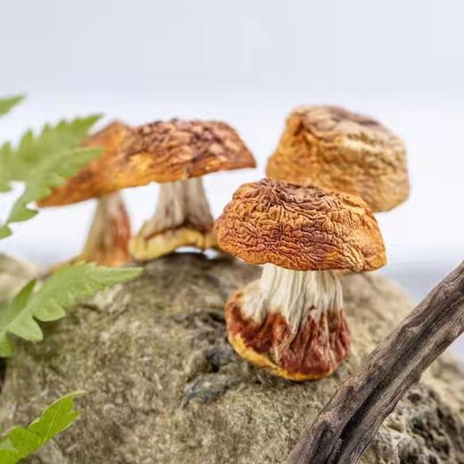 HEB东北松茸500/2袋 商品图8