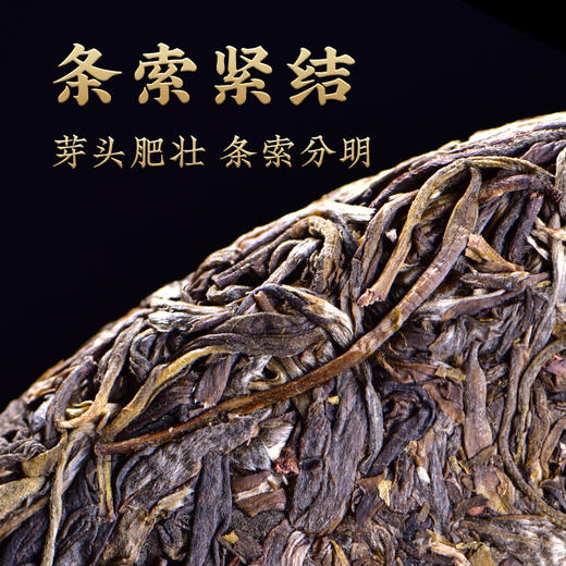 【主力产品系列】昌泰 2016年棕色昌泰号 普洱生茶 400g/饼（天猫同款） 商品图4
