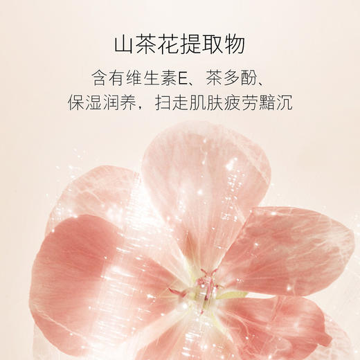 山茶花氨基酸洁面慕斯 清洁毛孔 温和 保湿 控油 不紧绷洗面奶 商品图2