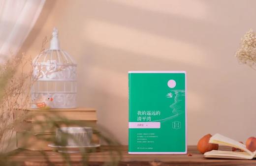 【莫言、余华、苏童赞不绝口】《史铁生文集》（吴冠中插图珍藏版，全5册）| 他的文字如一束光，照亮无数人~ 商品图5