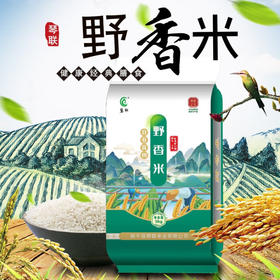 【当季新米】琴联高山梯田种植野香米5kg 一年一季