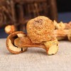 HEB东北松茸500/2袋 商品缩略图9