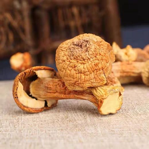 HEB东北松茸500/2袋 商品图9