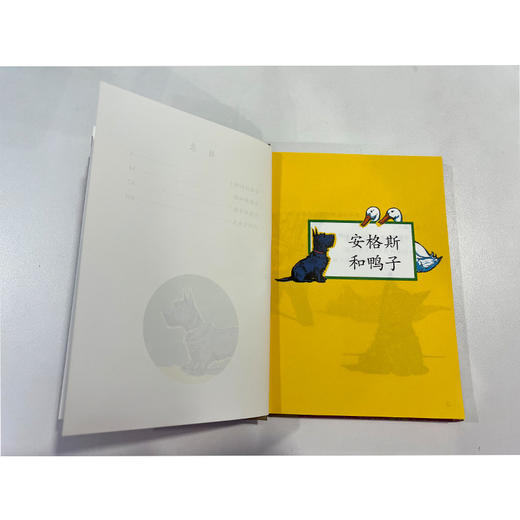 童立方 金色小童书 小狗安格斯经典故事集 7岁-10岁精装绘本 商品图2