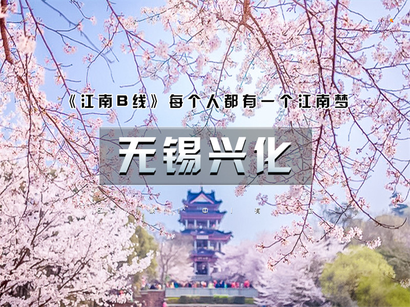 【无锡兴化2日】春季下江南兴化油菜花海-李中水上森林-鼋头渚樱花-无锡古运河