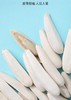 新疆阿克苏特级白马牙瓜子 商品缩略图1