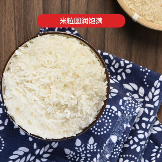 【充氮锁鲜】琴联 高山梯田种植充氮锁鲜野香米现磨现发礼盒装10斤 500gX10袋 商品图3