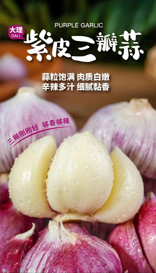 大理紫皮三蒜/大理紫皮多瓣蒜   鲜蒜，现挖现发 商品图0