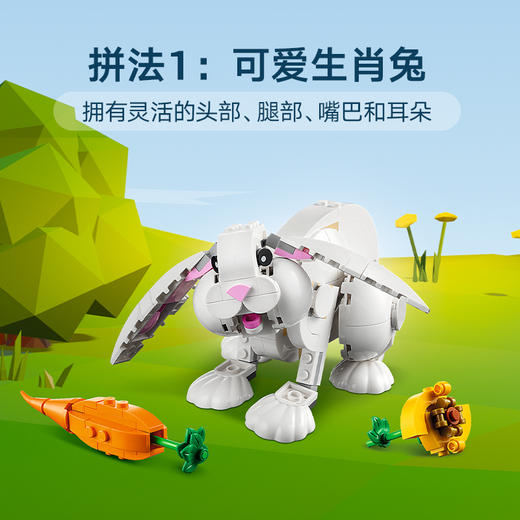 乐高创意三合一系列31133可爱的白兔 商品图2