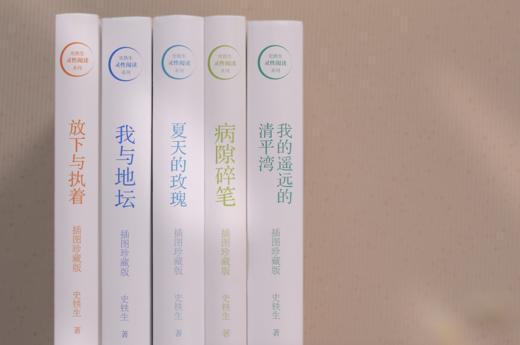 【莫言、余华、苏童赞不绝口】《史铁生文集》（吴冠中插图珍藏版，全5册）| 他的文字如一束光，照亮无数人~ 商品图2
