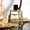 巴宝莉 骏勇之心（英雄） Burberry Hero EDT/EDP 分装 商品缩略图5