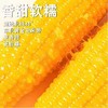 HEB东北粘玉米10棒/箱 商品缩略图6