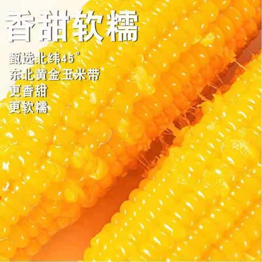 HEB东北粘玉米10棒/箱 商品图6