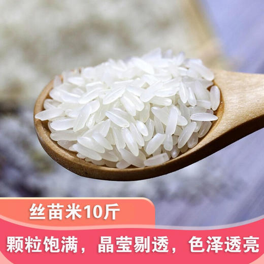 【当季秋收新米】琴联  南方长粒丝苗米5kg 商品图6