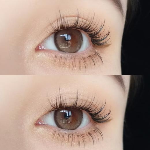 贵妇年抛Winni·Cobi棕·14.5mm中等着色·韩产2片 商品图9