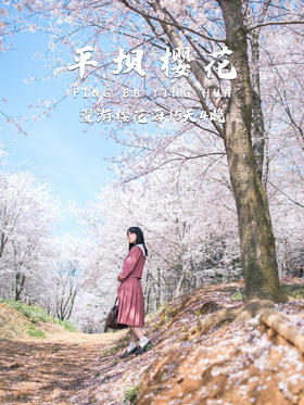贵州 | 平坝樱花 五日，漫游世界最大樱花园