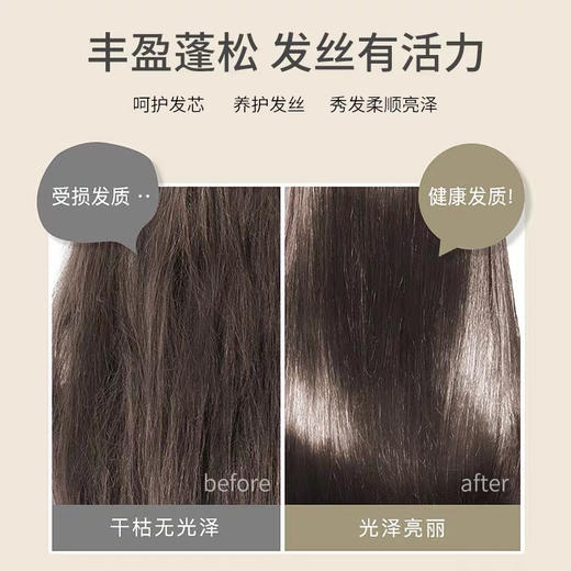 日本丝蓓绮金椿/红椿洗发护发套盒 商品图9