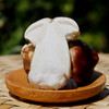 鲜美赤松茸300g  新鲜菌菇  蘑菇煲汤  菌香浓郁 应季蔬菜 商品缩略图1