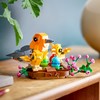 乐高方头仔40639欢喜鸟巢模型摆件 商品缩略图2