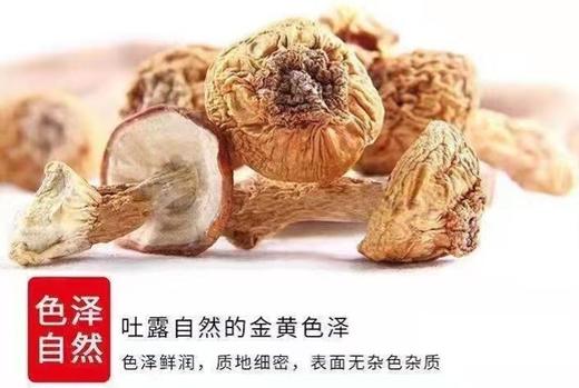 HEB东北松茸500/2袋 商品图12