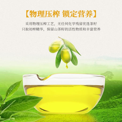 帝壹号 初榨山茶油500ml*2 山茶油物理压榨茶籽礼盒装 商品图3