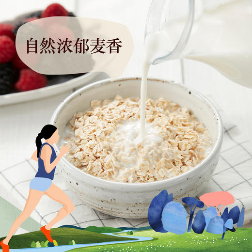 悠采（罐装）高纤冲调原味燕麦片1.5kg 商品图4