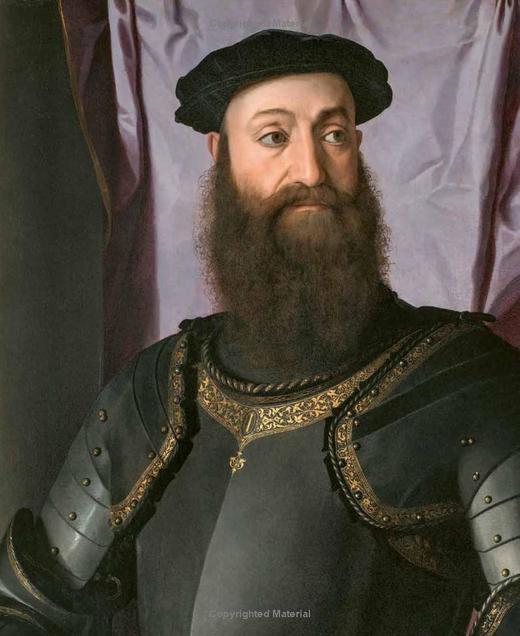 The Medici - Portraits and Politics, 1512-1570，美第奇：肖像与政治1512–1570，绘画 商品图4