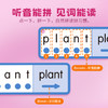 Touch&Read：Phonics Word Match自然拼读指读卡（3合一） 商品缩略图2