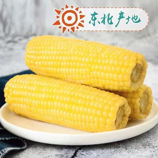 HEB东北粘玉米10棒/箱 商品图7