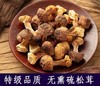 HEB东北松茸500/2袋 商品缩略图4