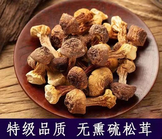 HEB东北松茸500/2袋 商品图4