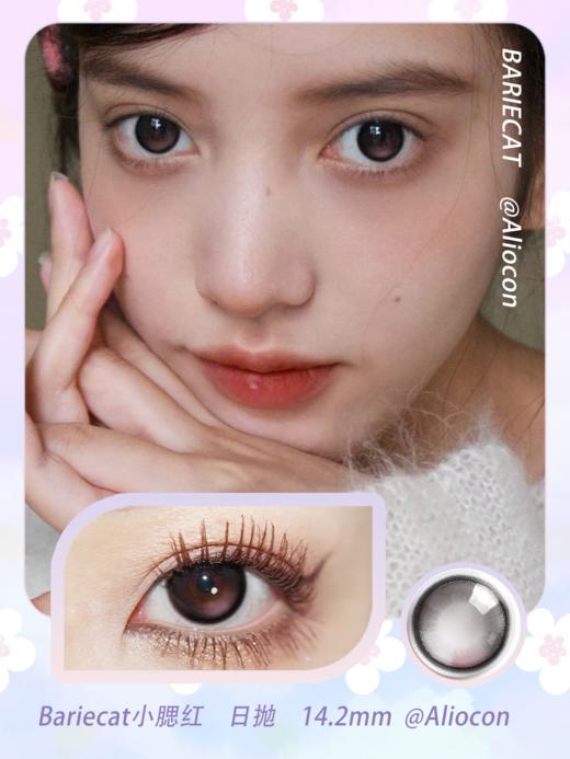 Bariecat 小腮红 14.2mm【日抛 | 10片/盒】 商品图1