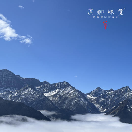 野生甜当归（成都仓库-顺丰快递） |250g/袋，来自四川小金山，生产者：吴明清【合作生产，公平贸易】 商品图5