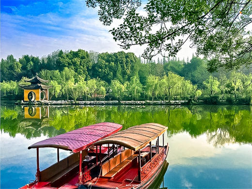 【扬州兴化2日】烟花三月下扬州の兴化油菜花海-李中水上森林-瘦西湖-何园 商品图7