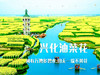 3.28-3.29｜情定•无锡兴化｜单身相约の【花海为媒 船作鹊桥】三月兴化，在千垛春天里相逢 商品缩略图5