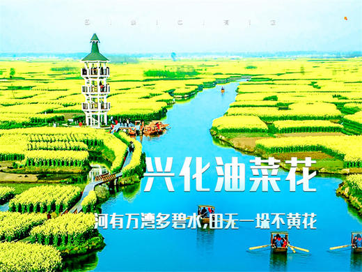 3.28-3.29｜情定•无锡兴化｜单身相约の【花海为媒 船作鹊桥】三月兴化，在千垛春天里相逢 商品图5