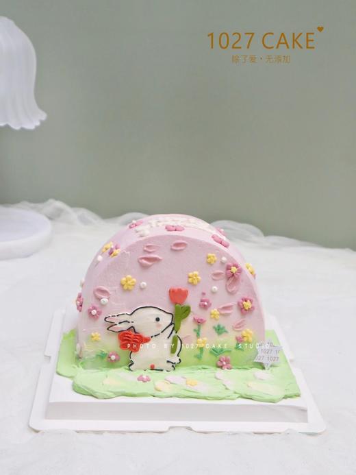 1027CAKE |  小清新 手绘 田园小兔 商品图1