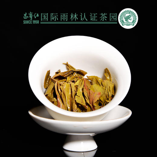 昌宁红牌18年早春大树普洱生茶357g/饼 商品图3