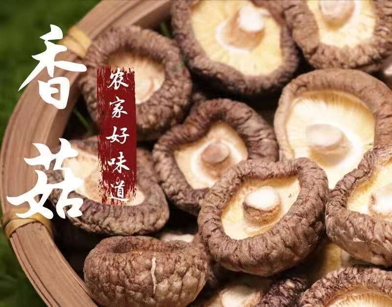 HEB东北香菇500g/袋