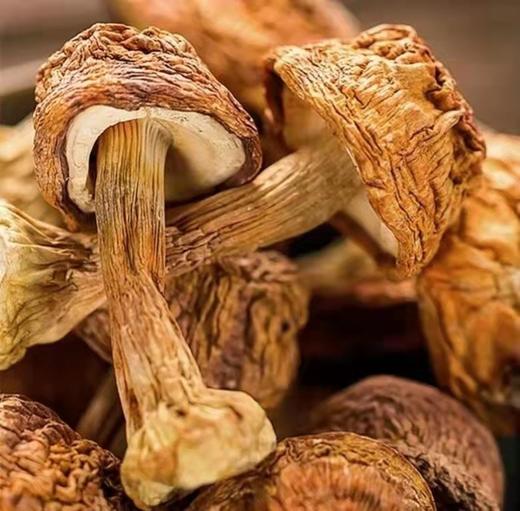 HEB东北松茸500/2袋 商品图2