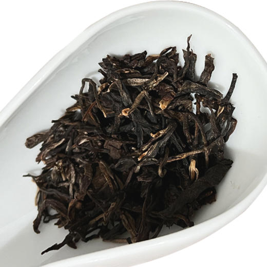 生普 | 洪海古树2019年韵香百年青饼357G/饼 商品图2