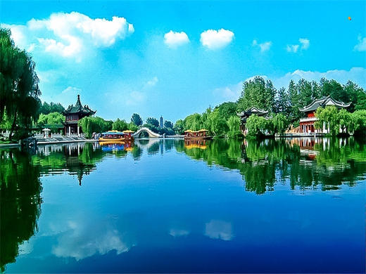 【扬州兴化2日】烟花三月下扬州の兴化油菜花海-李中水上森林-瘦西湖-何园 商品图8